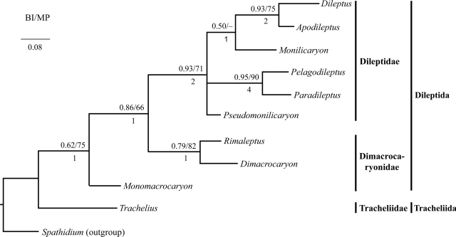 Fig. 4