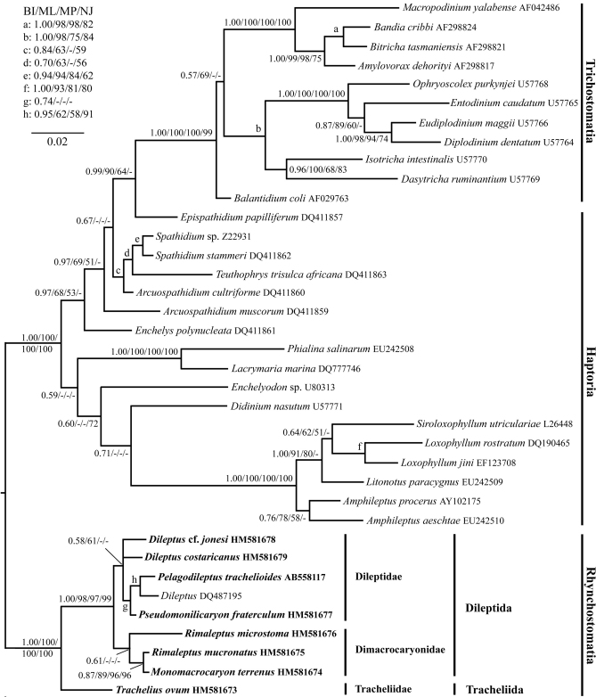 Fig. 6