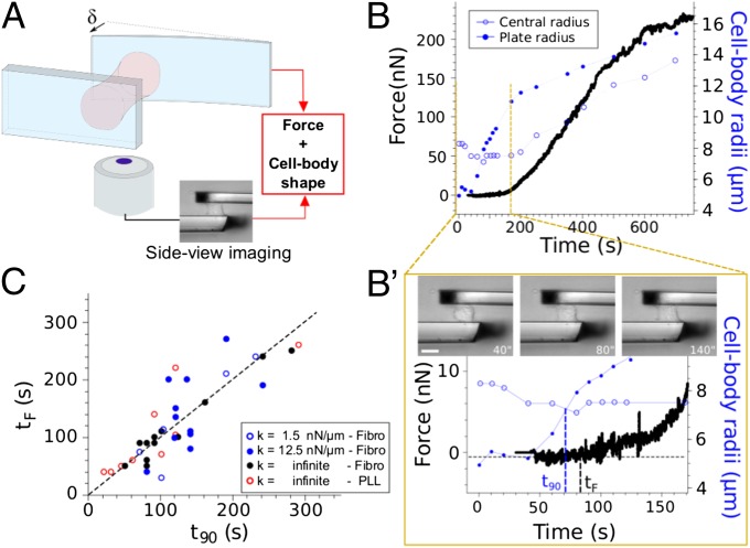 Fig. 4.