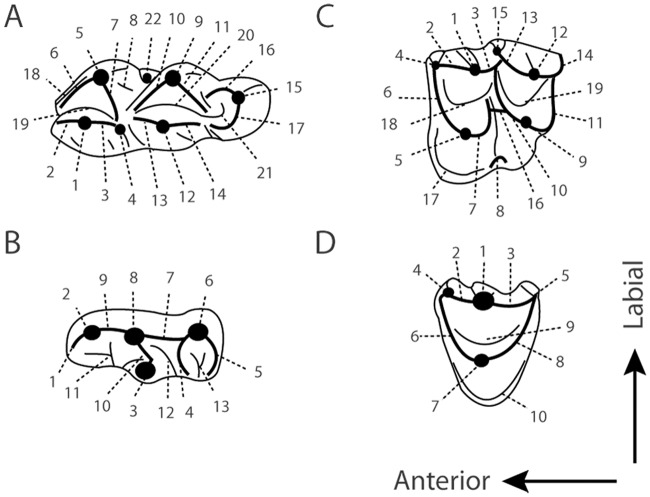 Fig 2