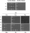 FIG. 4.