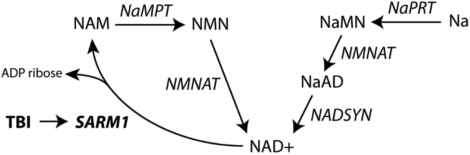 Figure 9.