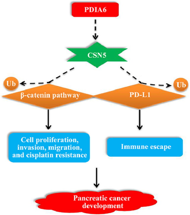 Image, graphical abstract