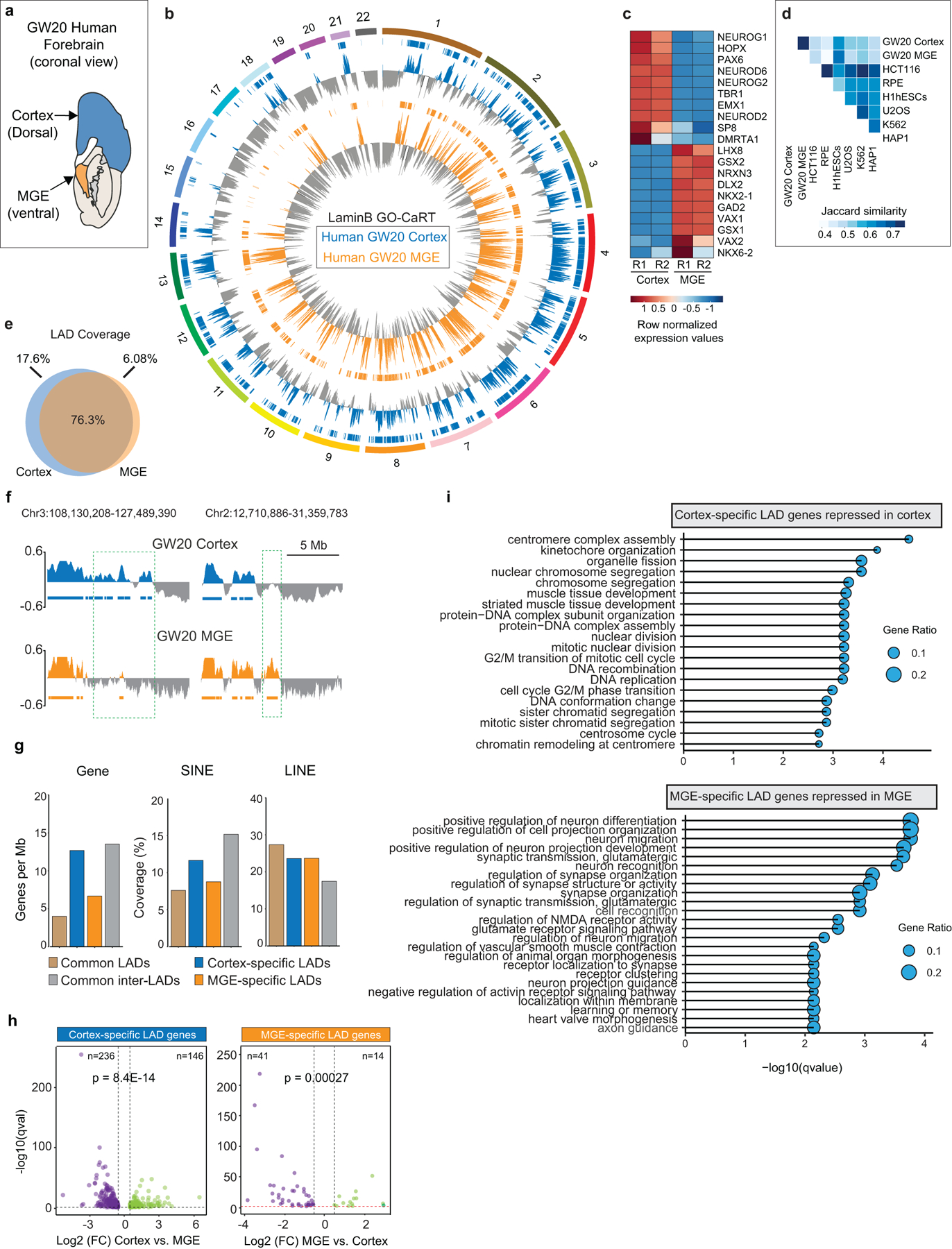 Extended Data Fig. 5