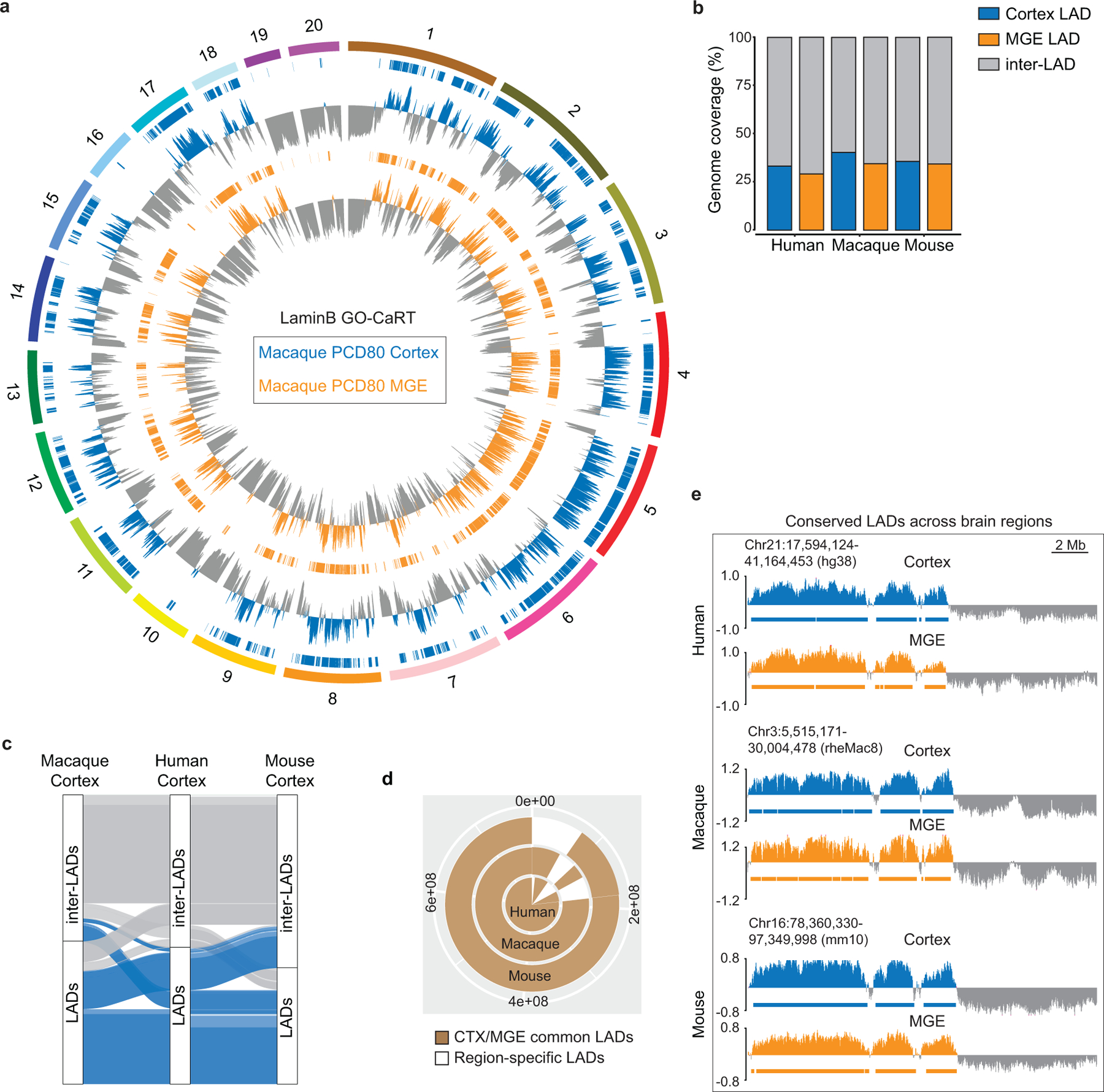 Extended Data Fig. 7