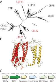Fig. 3.