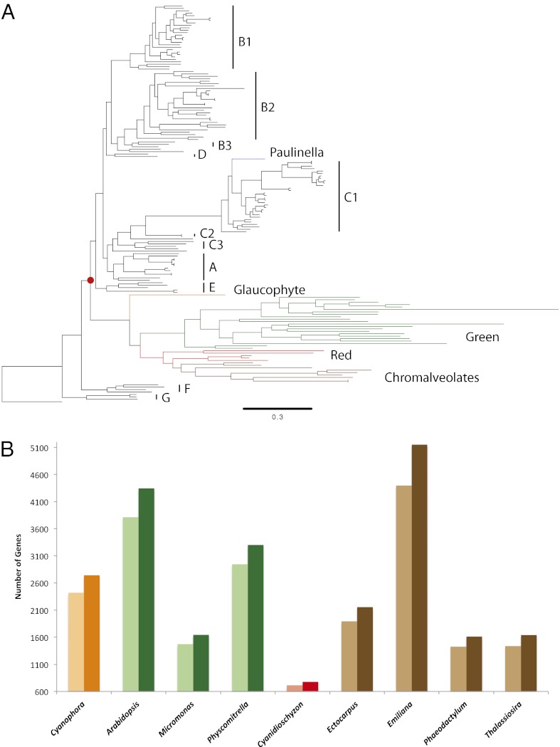 Fig. 2.