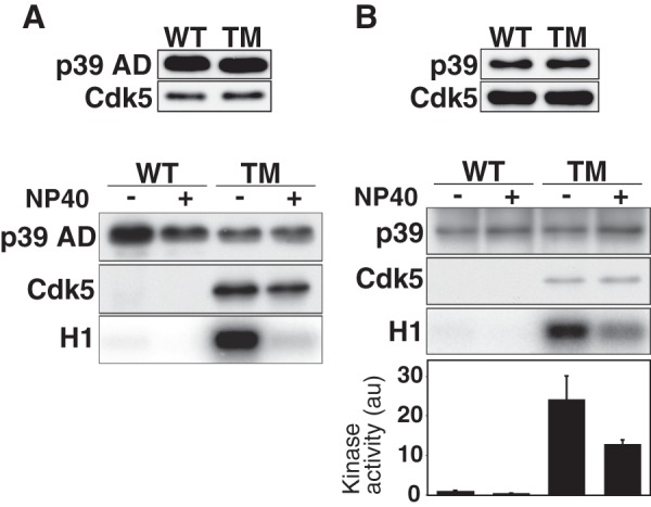 FIGURE 5.