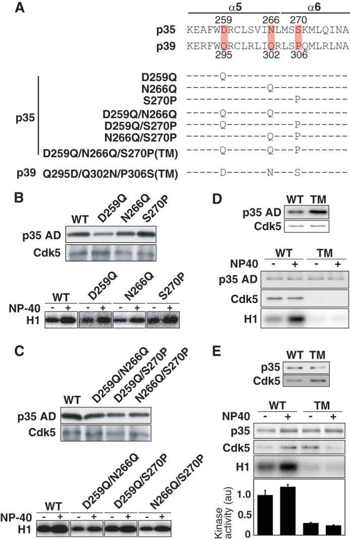 FIGURE 4.