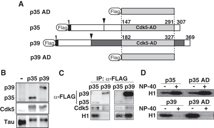 FIGURE 1.