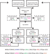 Extended Data Figure 1