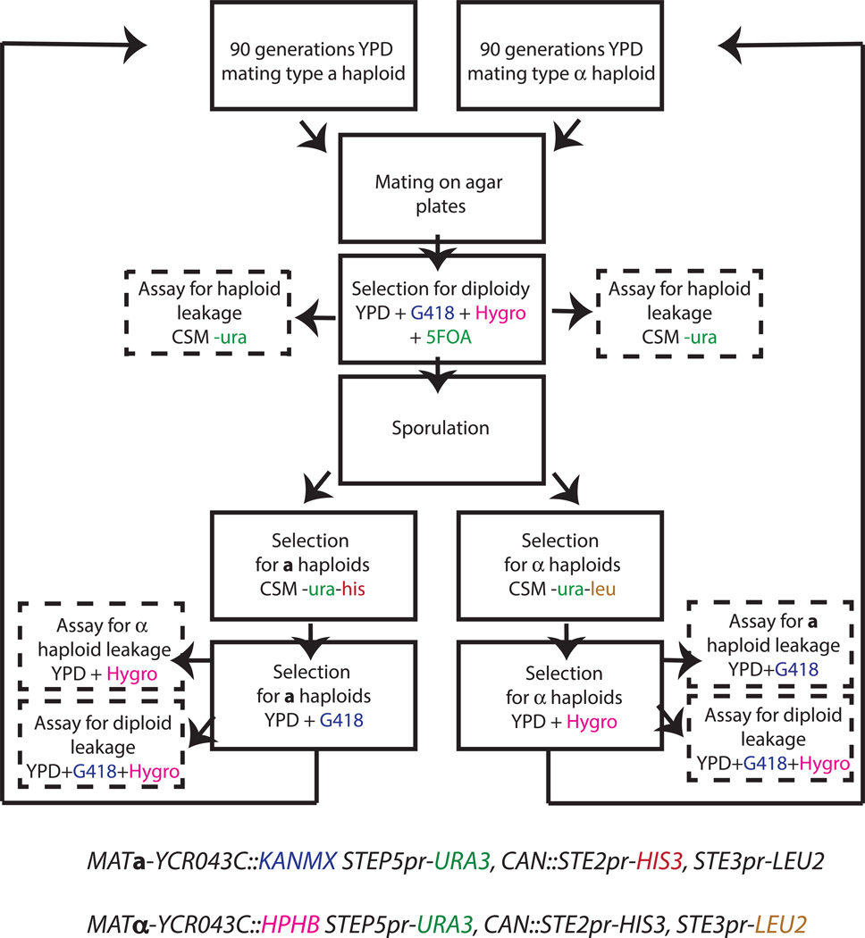 Extended Data Figure 1