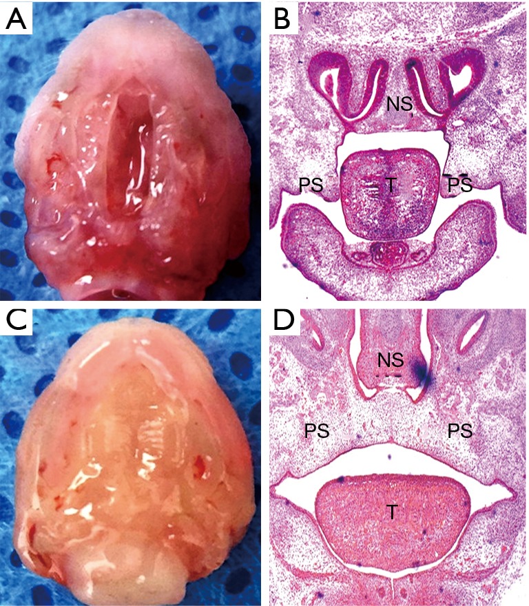 Figure S1