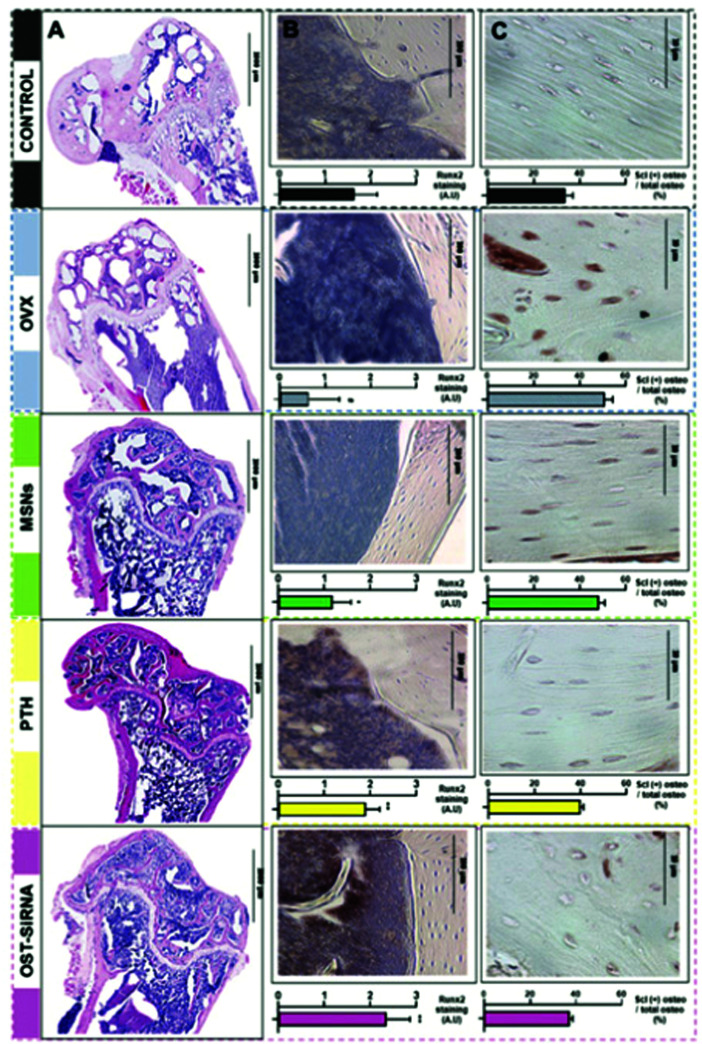 Fig. 21