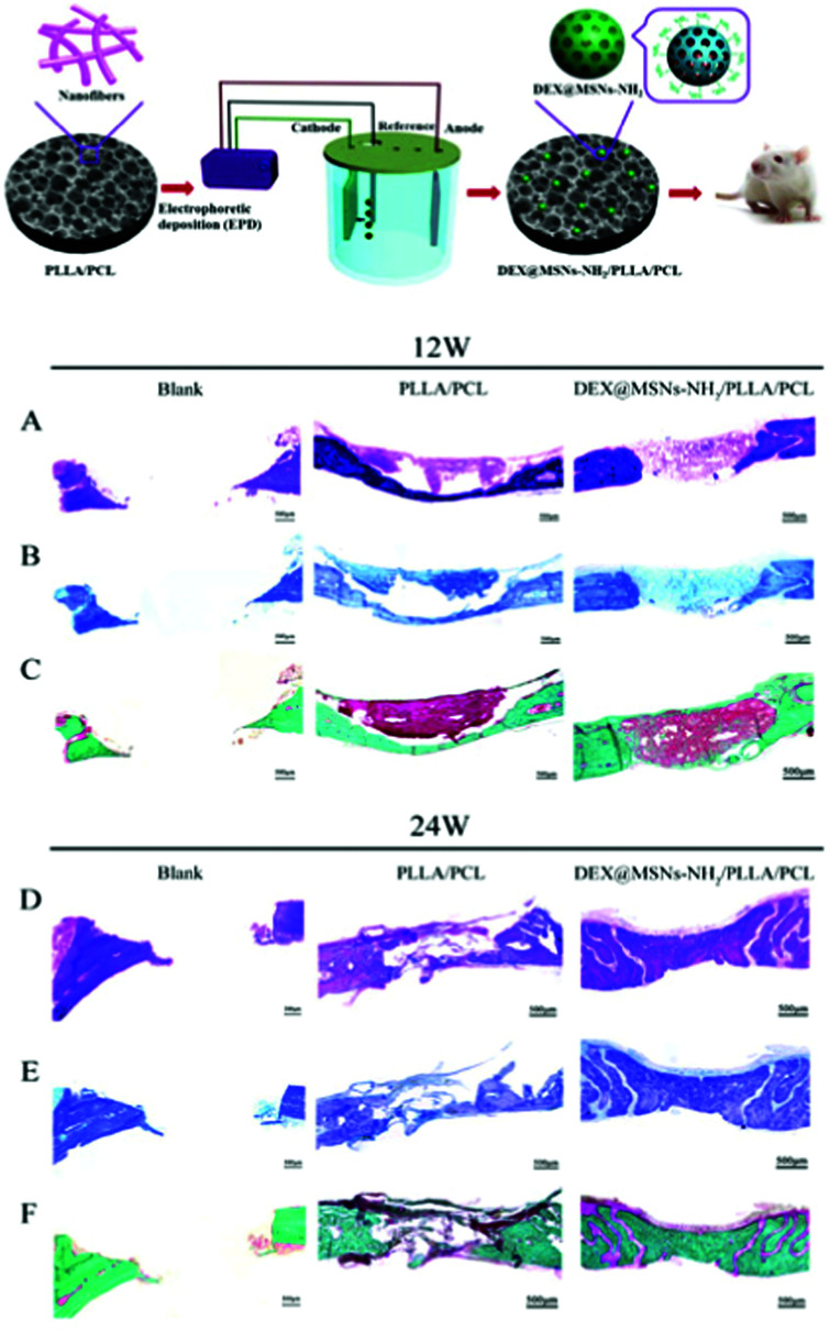 Fig. 23