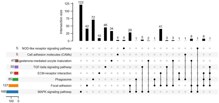 Figure 7