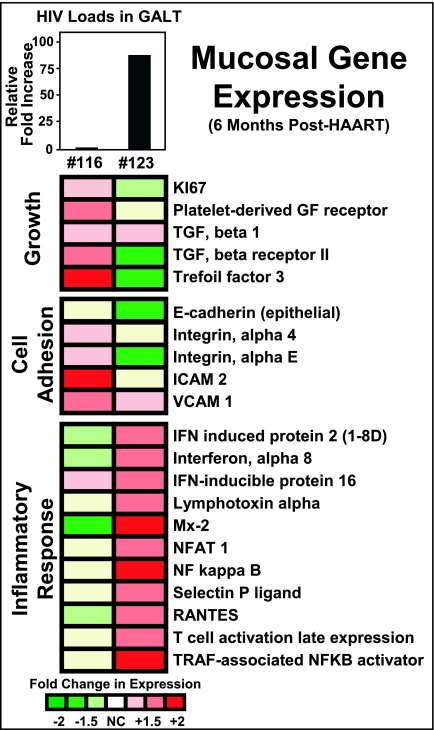 FIG. 8.