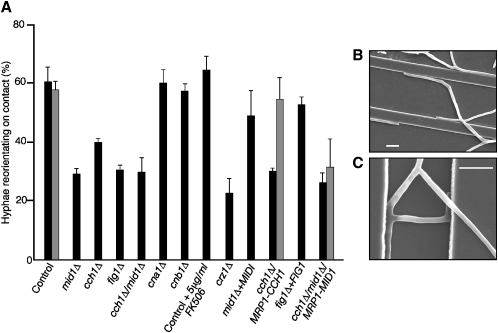 Figure 3