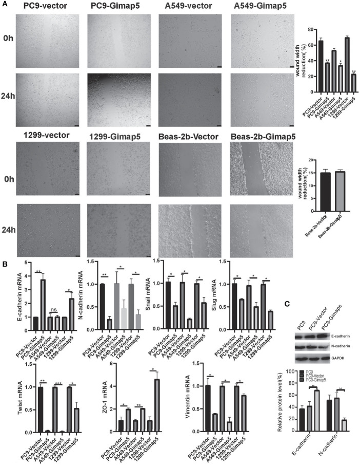 Figure 4