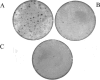 FIG. 8.