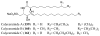 Figure 61