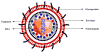 Figure 24
