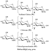 Figure 31