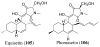 Figure 37