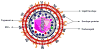 Figure 26