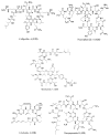 Figure 44