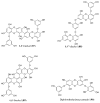 Figure 30