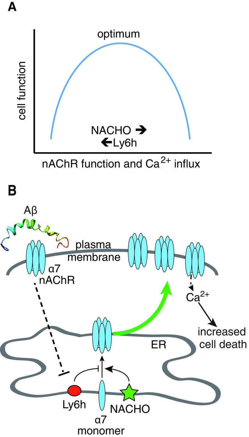 Figure 6.