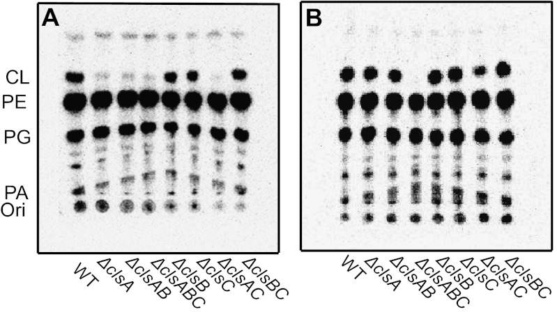 Fig. 4.