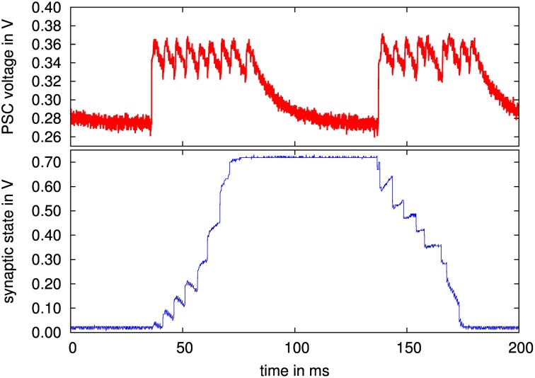 Figure 13