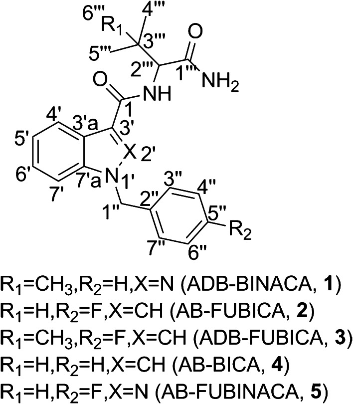 Fig. 1