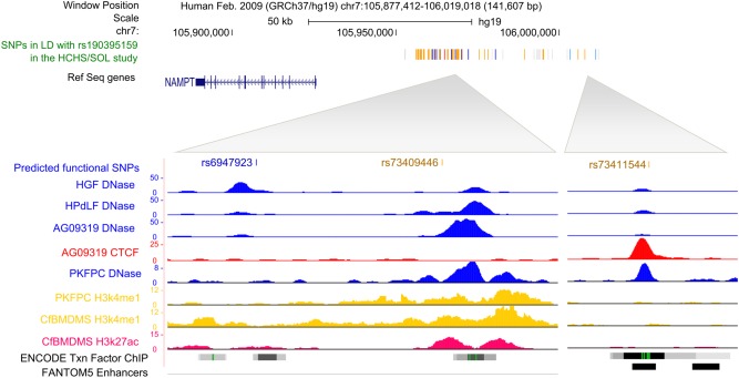 Figure 4.