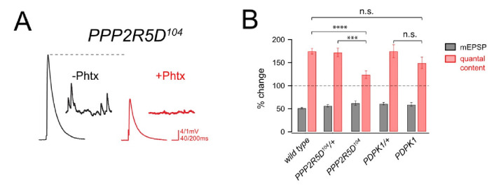 Figure 5—figure supplement 2.