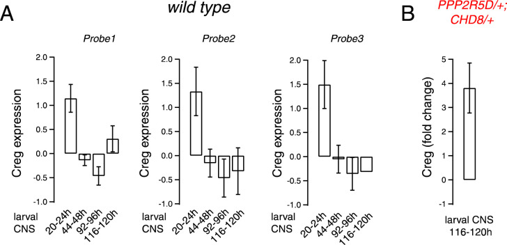 Figure 8—figure supplement 1.