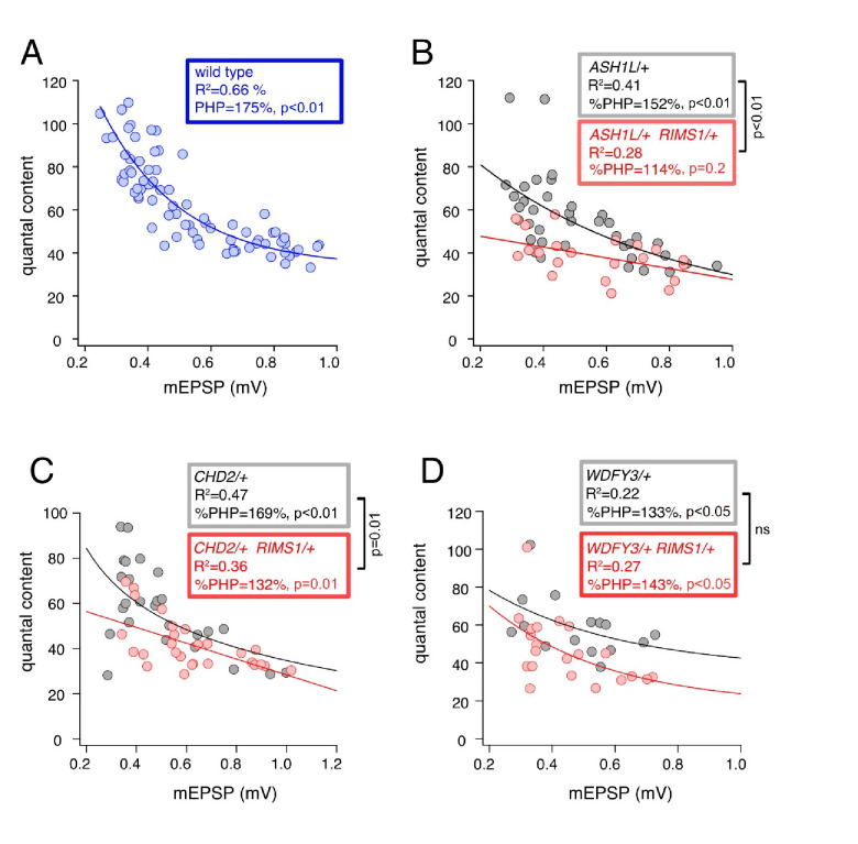 Figure 1—figure supplement 2.