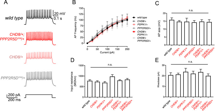 Figure 5—figure supplement 3.