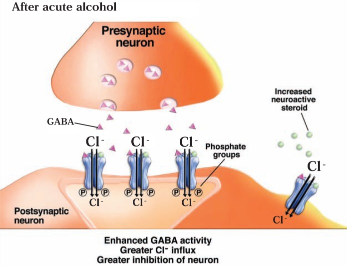 Figure 5B