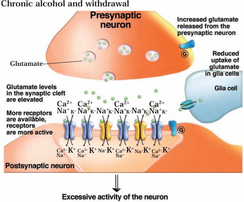 Figure 2C