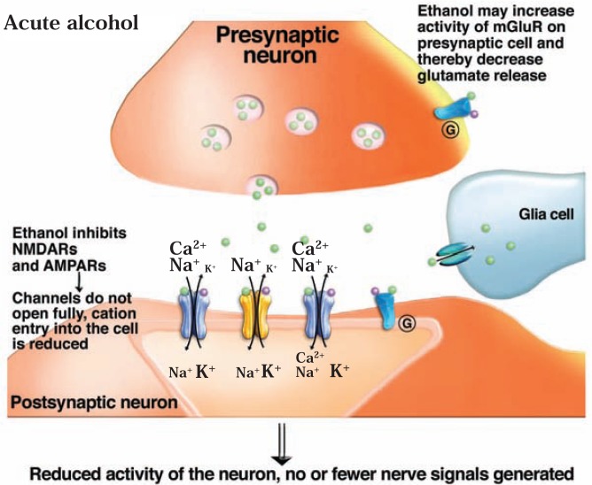 Figure 2B