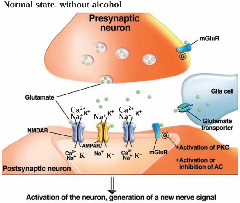 Figure 2A