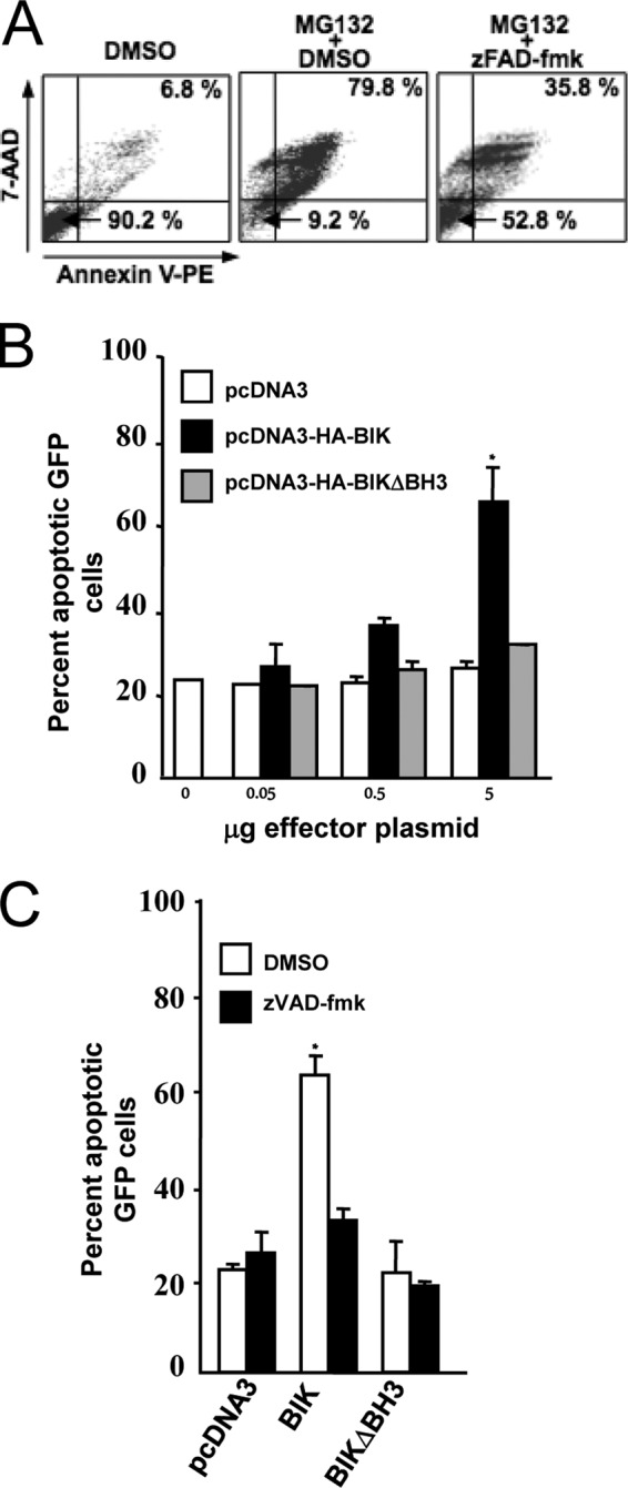 FIG 6