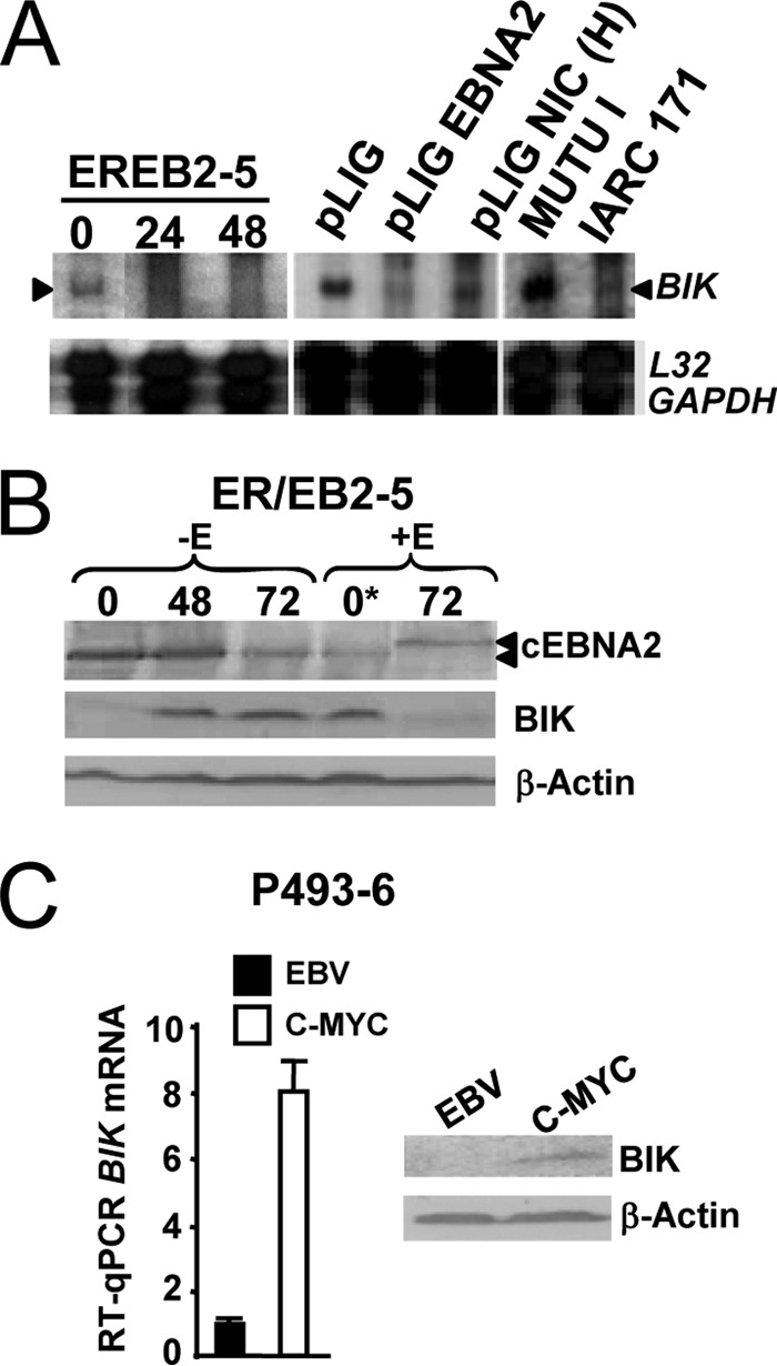 FIG 2