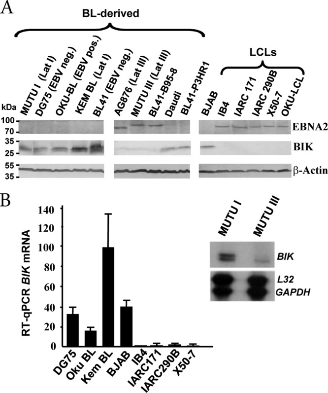 FIG 1