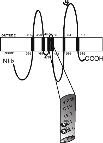 Fig. 1