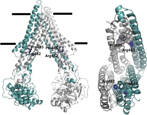 Fig. 2