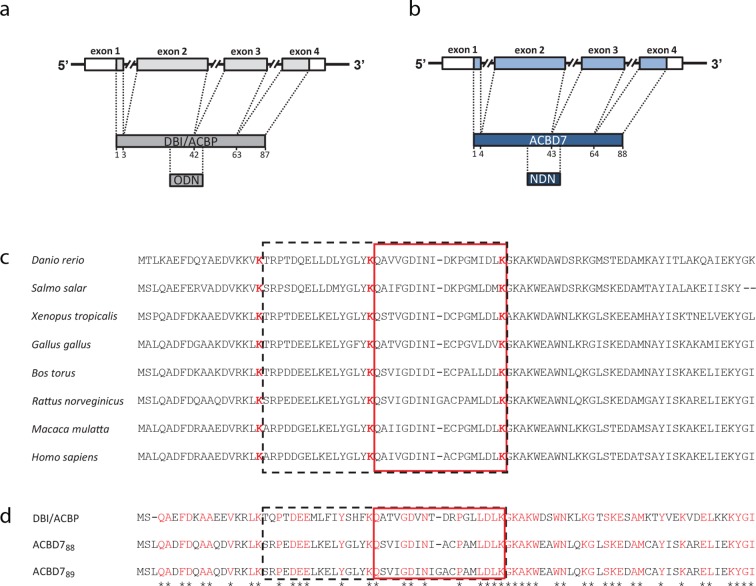 Figure 1—figure supplement 1.